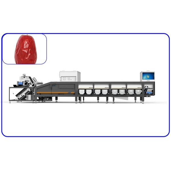 Smart Machines Sort All Kinds Of Dates 12 Channel Dates Sorting Machine ...