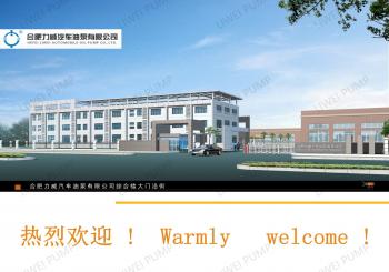 China Factory - Hefei Liwei Automobile Oil Pump Co., Ltd