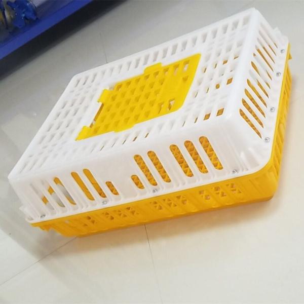 Quality Plastic baskets for poultry turnover（Red ，Orange，yellow ） for sale