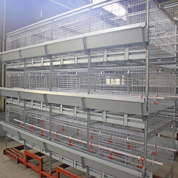 Quality H Type 500cm2 Meat Chicken Cage , ISO9001 3/4 Tiers Broiler Poultry Equipment for sale