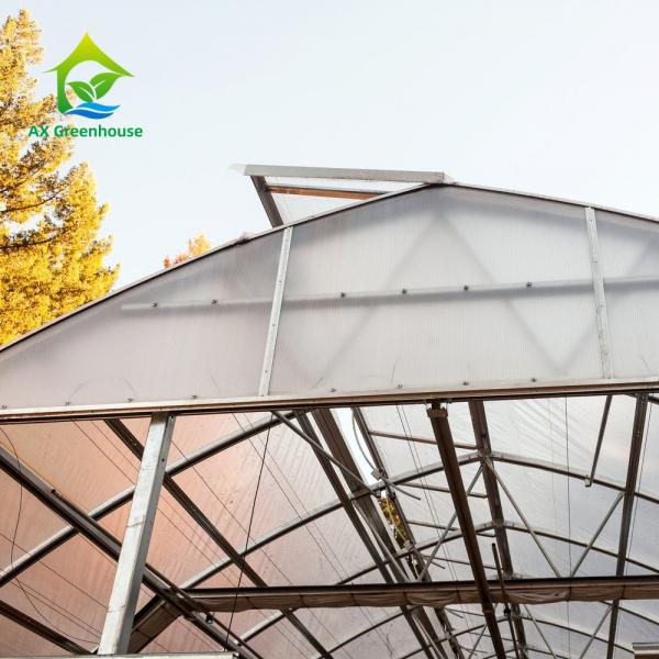 Quality Vertical Farming Clear Polycarbonate Greenhouse 3m To 7m Height for sale