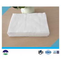 Quality Polester Filament Geotextile Drainage Fabric High Strength White for sale