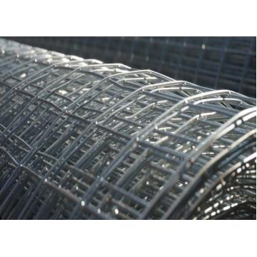 Quality 1mm-3mm Hot Dipped Galvanized Welded Wire Mesh Animal Cage Wire Mesh Rustproof for sale