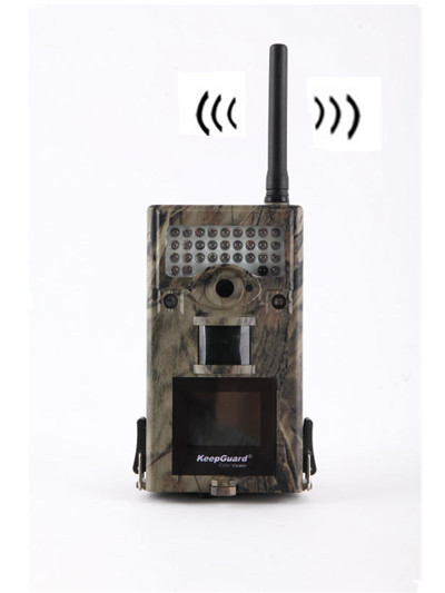 Quality IP54 Waterproof Wireless Scouting Camera Motion Detection with 2.4 Inch Display for sale