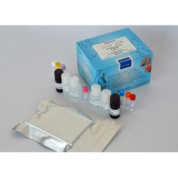 Quality Rapid Amantadine ELISA Assay Kit / Quantitative Analysis Egg Test Kit for sale