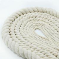 China 200m/220m Length White Cotton Rope for Flogline Signal Halyard Strong and Durable factory