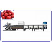 Quality Hawthorn Sorting And Grading Equipment 6.3KW High Speed 6 Channel for sale