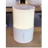 China Ultrasonic Electric Aroma Diffuser 2.5L Air Freshener Humidifier factory