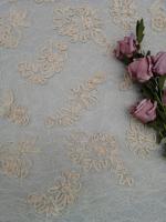 China Cording Lace 100% Polyester Embroidered Apparel Fabric factory