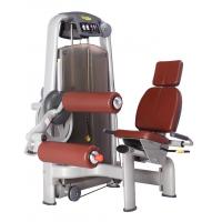 Quality Iron Fitness Gym Equipment Seated Leg Curl Machine OEM ODM for sale