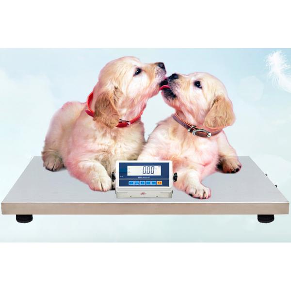 Quality 30Kg-150Kg Digital Platform Weighing Scale For Pet Animal Livestock ISO CE for sale