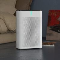 Quality Portable Personal Hepa Room Air Purifier Manufacturer CE CB RoHS for sale