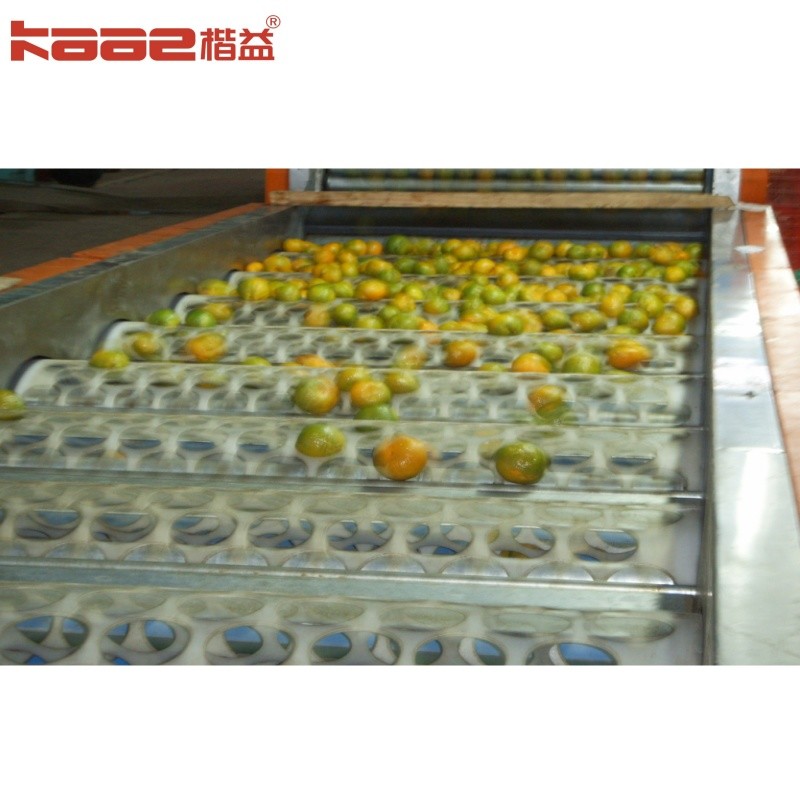 China Convient Automatic Automatic Fruit Sorting Machine By Size Sorter Grader Machine factory