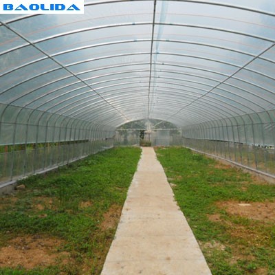 Quality Stable Structure Polyethylene Film Greenhouse / Vegetable Tomato Plant for sale