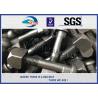 China Railway Fish Bolt Track Bolt Screw Bolt Track Fittings For Fasten Rail Joints factory