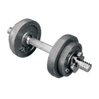 China Stoving Round Rubber Dumbbell Set Grey 10kgs Cast Iron Dumbbell Varnish Coated for sale