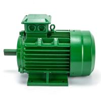 Quality 48v 4 pole 3 phase squirrel induction motor for elevator Single Phase Asynchrono for sale