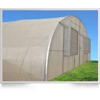 Quality PE Plastic Film Greenhouse With Cooling System For Agriculture for sale