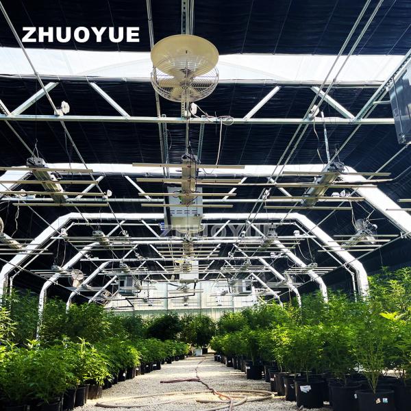 Quality Auto Blackout Greenhouse Light Deprivation Greenhouse For Controlled Crop Cultivation for sale