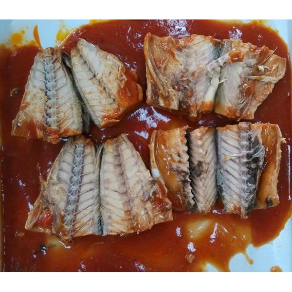 Quality Tin Packing Mackerel Canned Fish In Tomato Sauce FDA HACCP Certification for sale