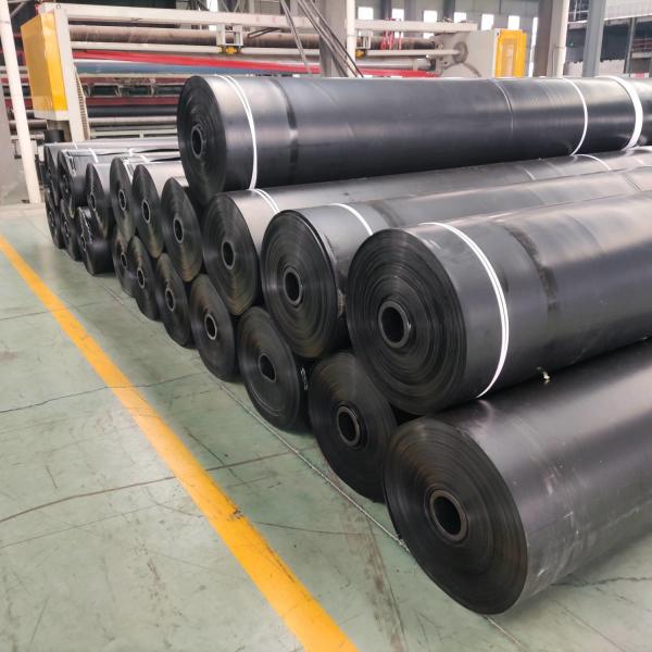 Quality Geotextile Composite HDPE Geomembrane Sheet For Biofloc Anti Seepage for sale