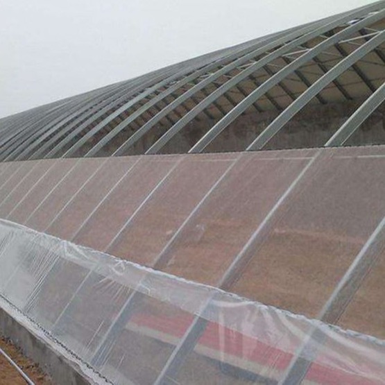 Quality Plant Agriculture Insect Net Anti Mosquito High Density Greenhouse Insect Net for sale
