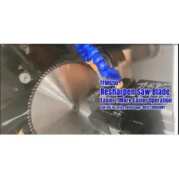 Quality TFM800 Circular Saw Blade Grinding Machine PLC Circular Saw Sharpener Top Face for sale
