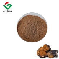 china Cas 9005-38-3 Chaga Mushroom Extract Powder Chaga Polysaccharide Health Care