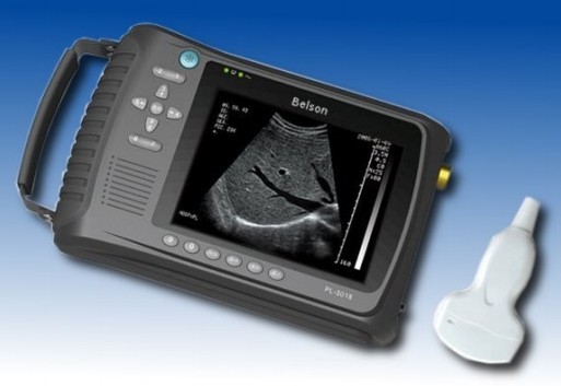 Quality Portable Veterinary Ultrasound Scanner With 3.5MHz Waterproof Mechanical Sector for sale