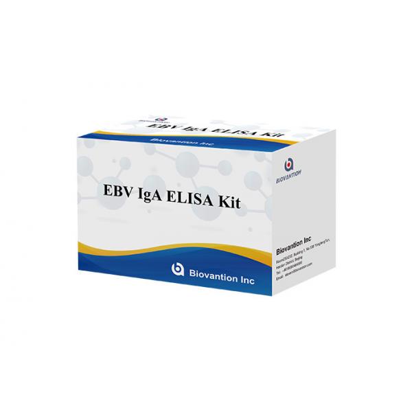 Quality EBV-VCA IgA Ab Test ELISA Kit Enzyme Immunoassay Test Plasma Specimen for sale