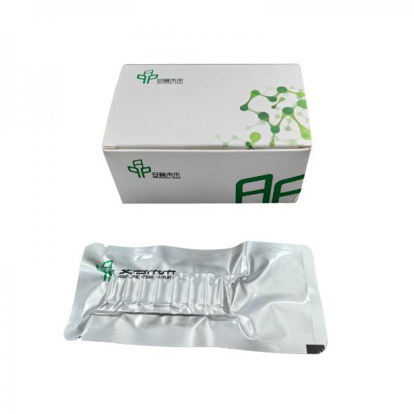 Quality Complete DNA Amplification Kit Comprehensive Reagents Protocols for sale