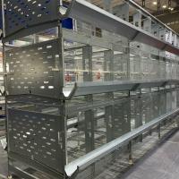 China 128 Birds Poultry Battery Cage With Auto Egg Collector factory