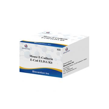 Quality Mouse E Cad E Cadherin Elisa Kit Research Use Only Sandwich Method for sale