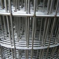 China Customizable 4ftx50ft Galvanized Welded Wire Mesh Chicken Bird Cage Wire Mesh factory
