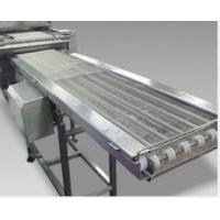 China                  Customize Food Grade Conveyor, Plastic Table Top Chain Conveyor, Top Chain Plate Food Standard Conveyor              factory