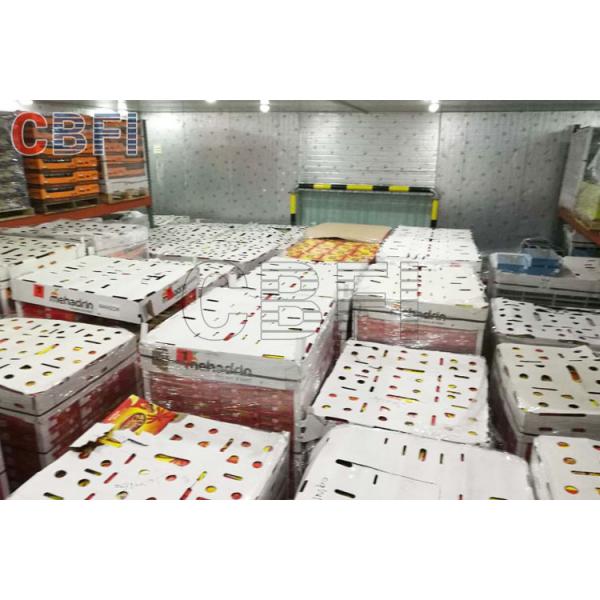Quality Low Temperature Big Cold Room Project Cheese Frozen Food Storage Cold Room Freezer for sale