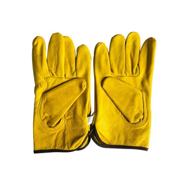Quality Beekeeper Equipment Hand Protect Sheepskin White or Yellow Beekeeping Gloves for sale