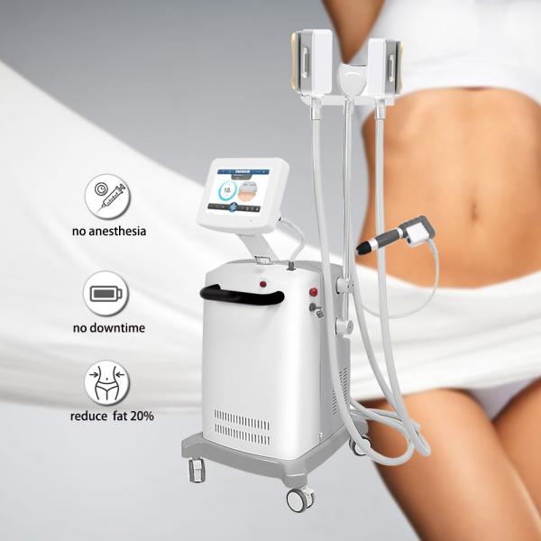 Quality Belly Burning High Efficient Cryolipolysis Slimming Machine for sale