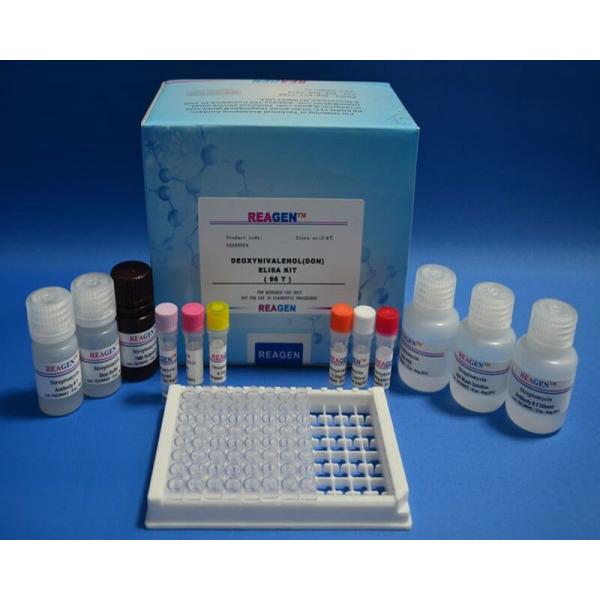 Quality Kanamycin ELISA Test Kit Drug Plasmid Detection With TMB Substrate for sale