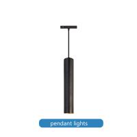 Quality Low Voltage 48v 10w Magnetic Pendant Light LED Commercial Home Lighting for sale