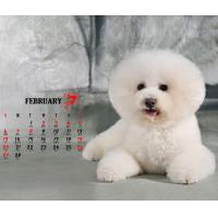 china Animal Calendar Printing, Kraft paper calendar, pop up calendar supplier, Beijing Printing company