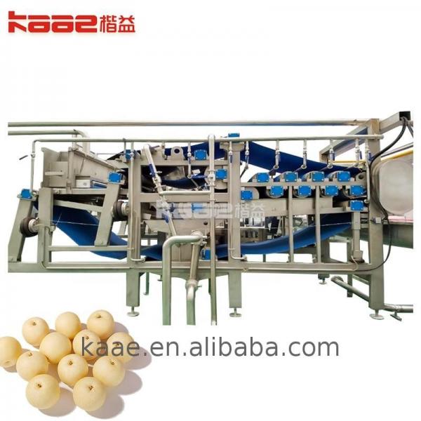Quality 0.5 - 20T/H Industrial Concentrated Juice Processing Line Baobab Juice Processing Machine for sale