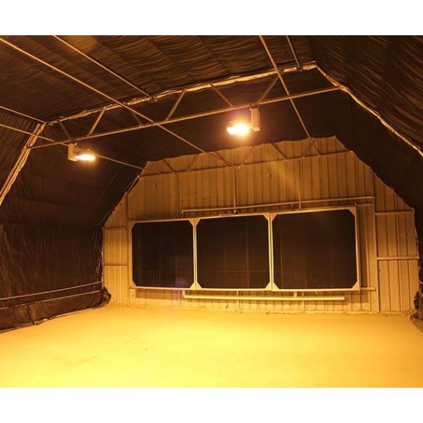 Quality Large Size Automated Blackout Greenhouse / Transparent PE Film Greenhouse for sale