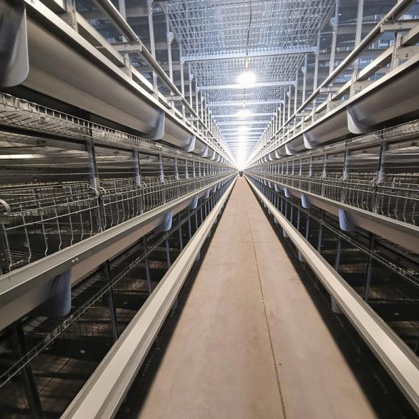 Quality 4 Floors Battery Chicken Cage Equipment for sale