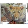 China PET 0.45MM 75lpi  3D animal Lenticular Printing photo with strong 3d  depth effect printed by UV offset printer factory