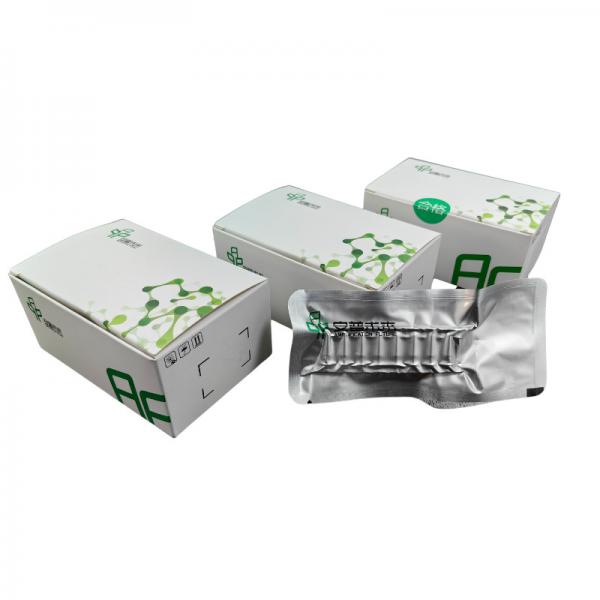 Quality 20mins DNA Isothermal Nucleic Acid Amplification Kit For High Speed PCR for sale