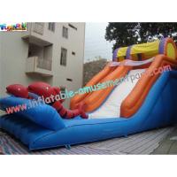 Quality Kids Outdoor Inflatable Water Slides Games with PVC tarpaulin, Reinforced seams for sale