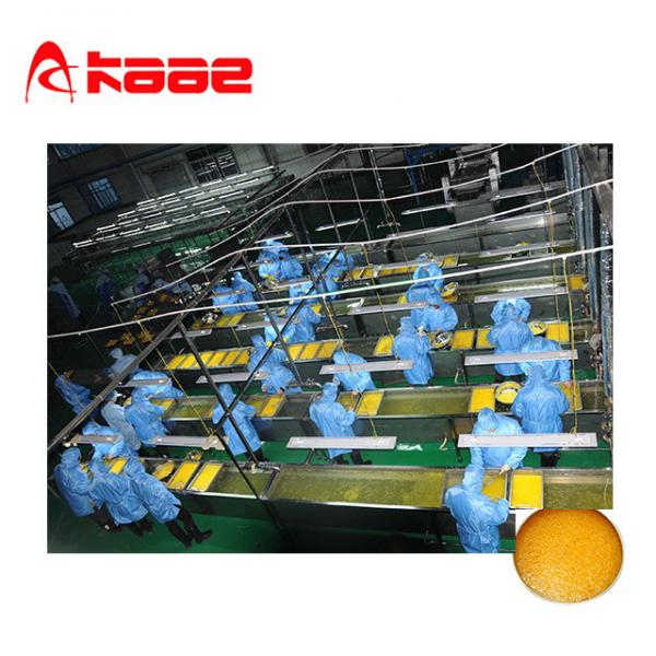 Quality 0.5 - 60tons/Hr Orange Lemon Sacs NFC Juice Processing Line Industrial Juice Press for sale