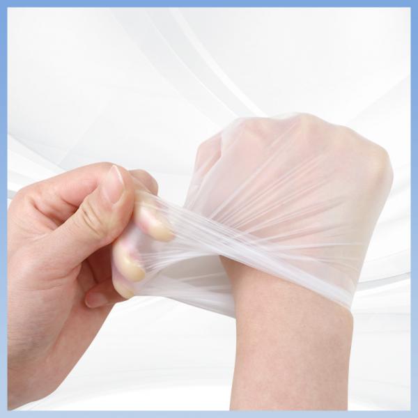 Quality Non Toxic TPE Clear Food Service Gloves Disposable Latex Free Gloves for sale