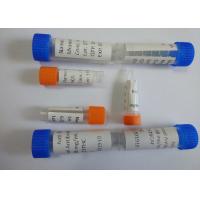 China Anti-Cotinine Mouse Monoclonal Antibody Purification 3.91mg/mL factory